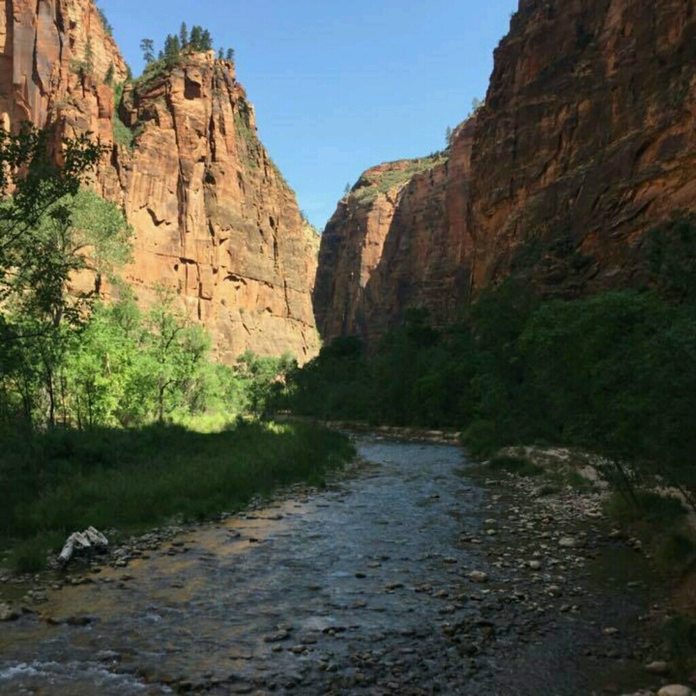 Meet your Posher, Di